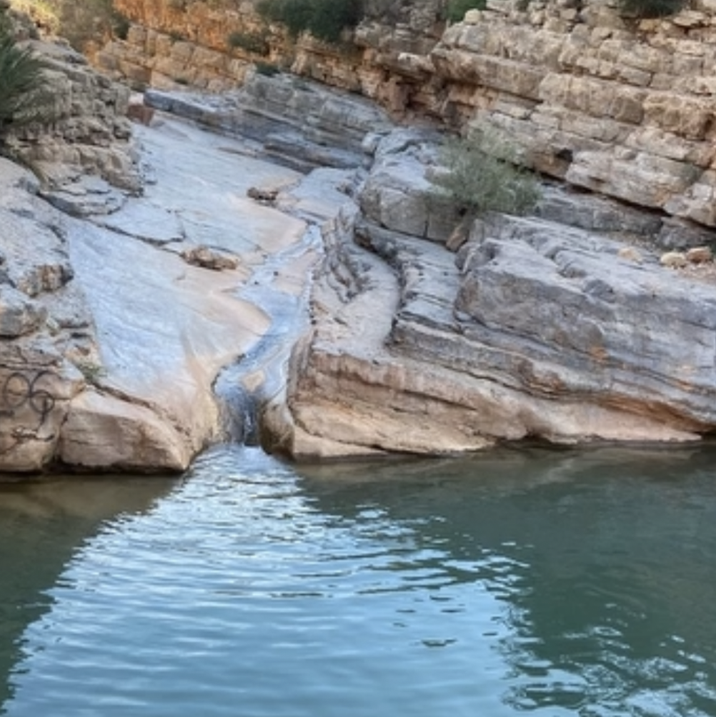 excursion_paradise_2